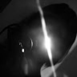 Meet your Posher, Tayla